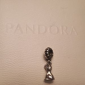 Pandora charm